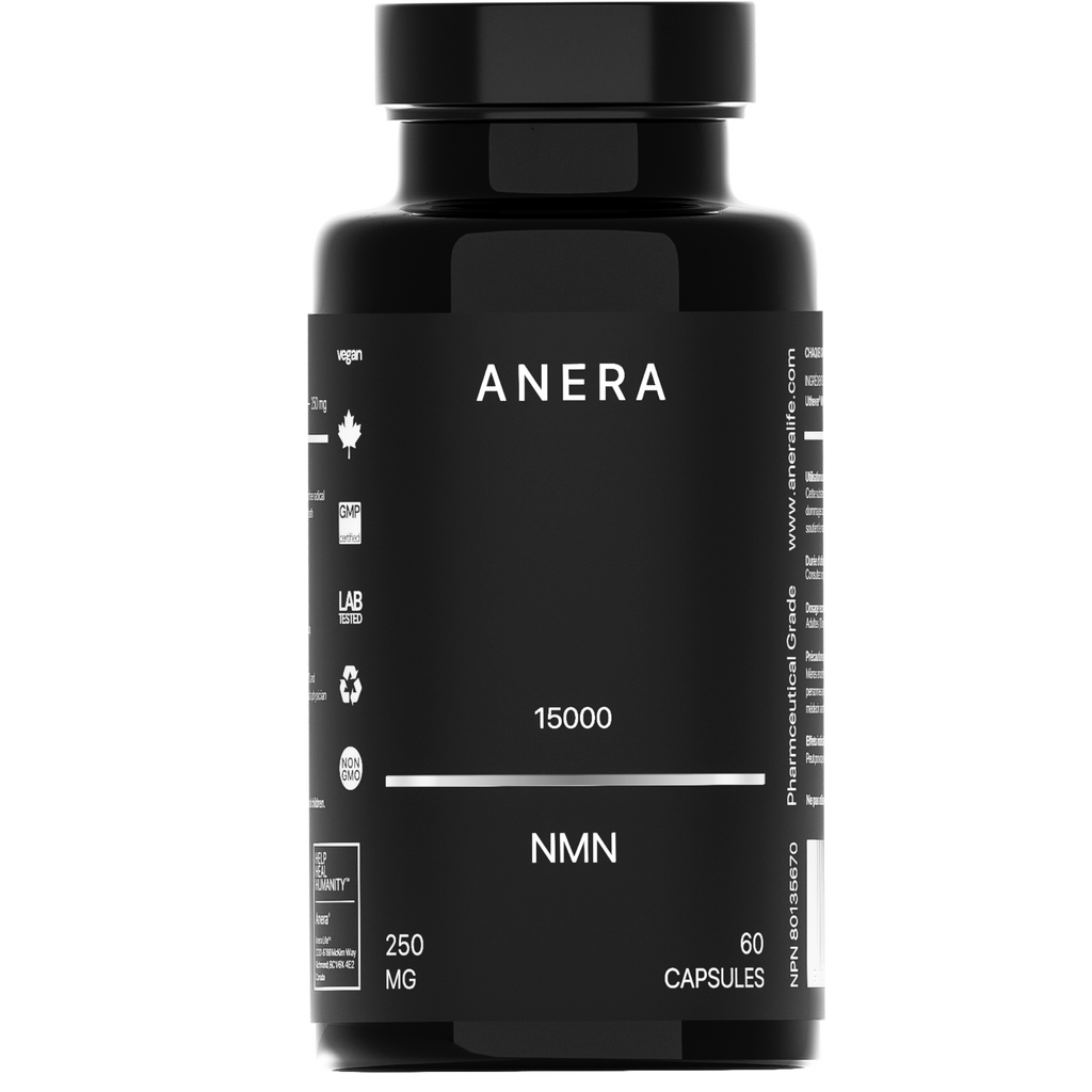 NMN 15000 – High-Potency NAD+ Support